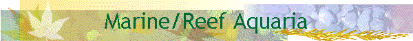 Marine/Reef Aquaria