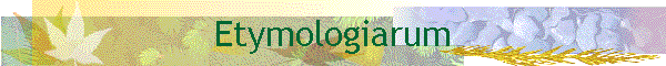 Etymologiarum