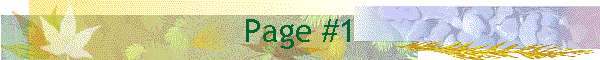 Page #1