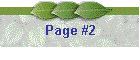 Page #2