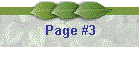 Page #3