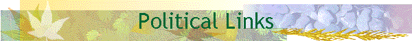 Political Links